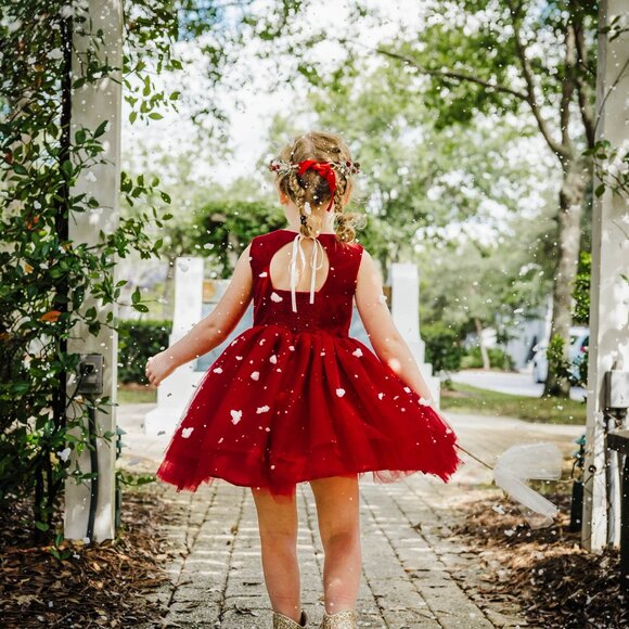 NWT Girls Love & Grow Clothing Red Velvet Holiday Tulle Dress Bloomers Set sz 7 - Picture 7 of 11